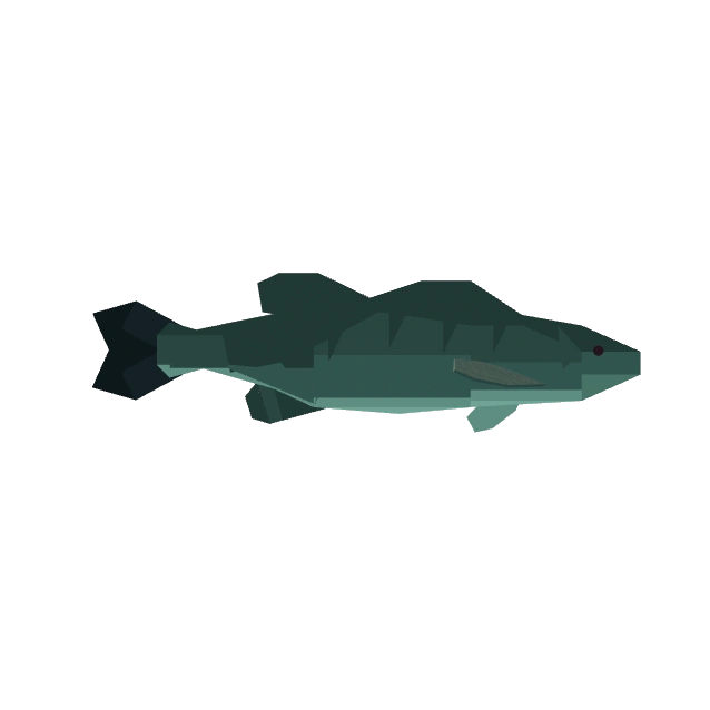 Redeye Bass